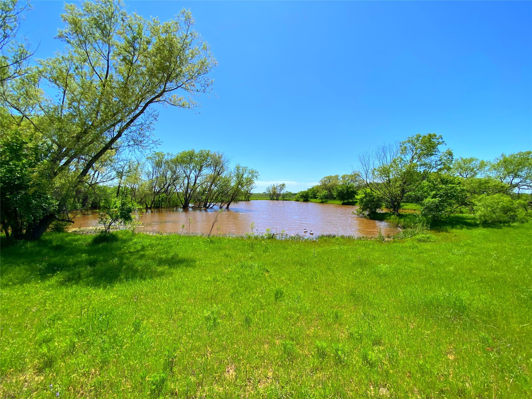 2683 N Highway 81 Bowie TX 76230