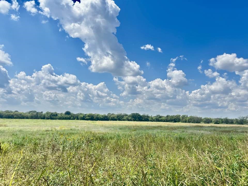 0000 County Road 4307 Greenville TX 75401
