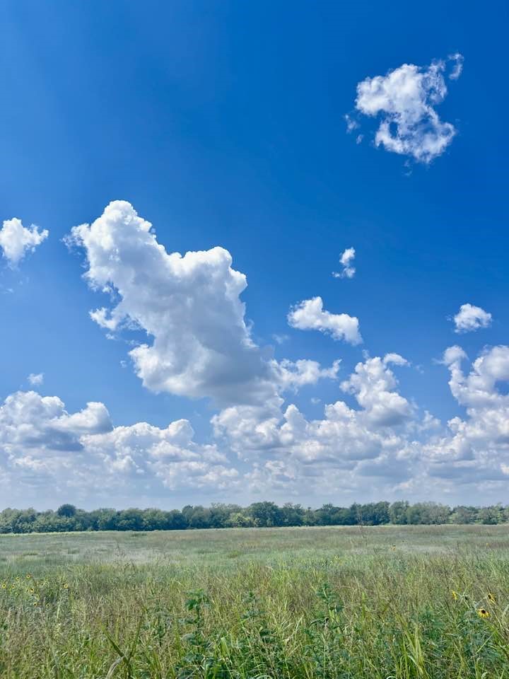 0000 County Road 4307 Greenville TX 75401