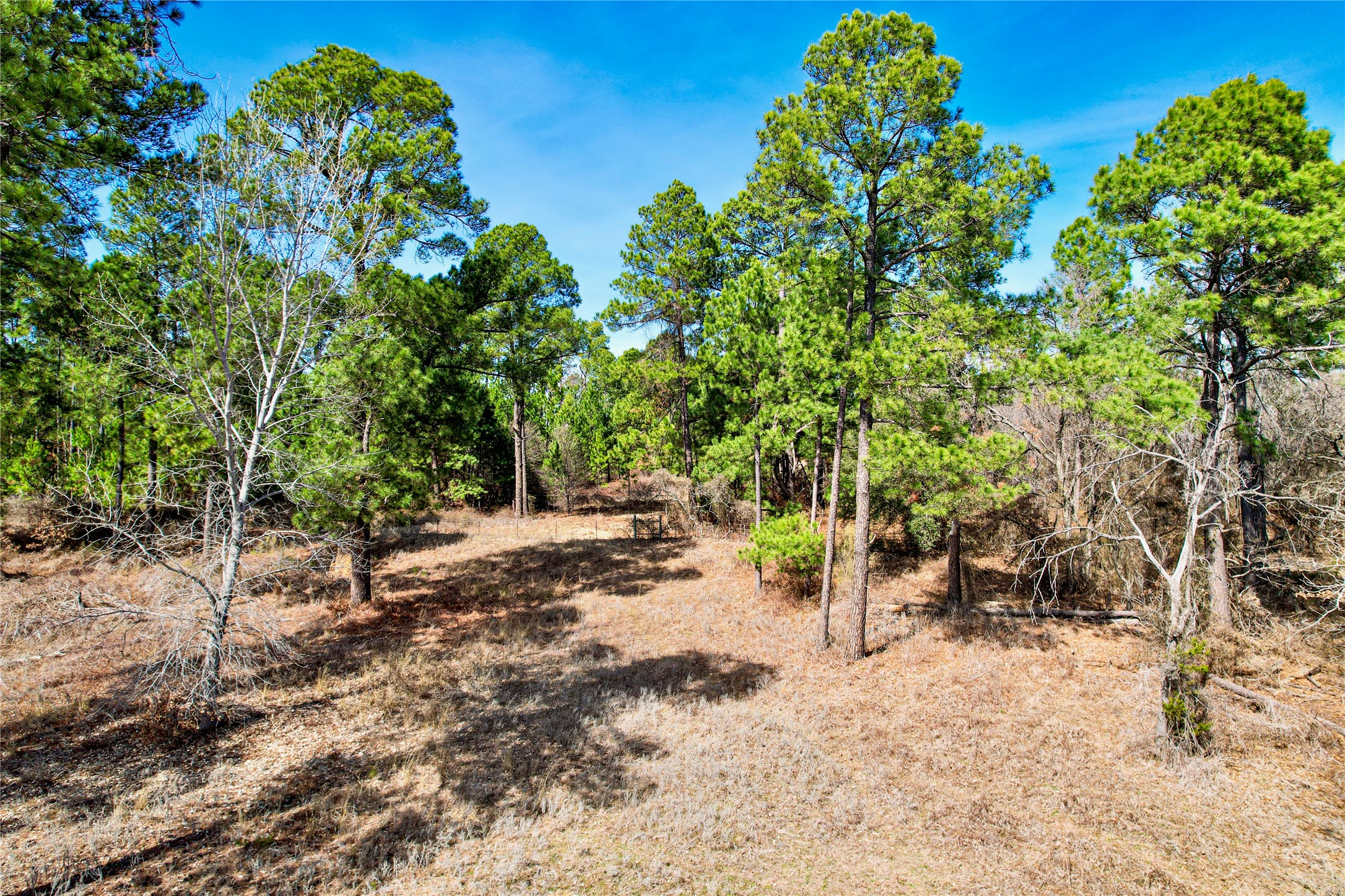 300 Cowboy Court Granbury TX 76048