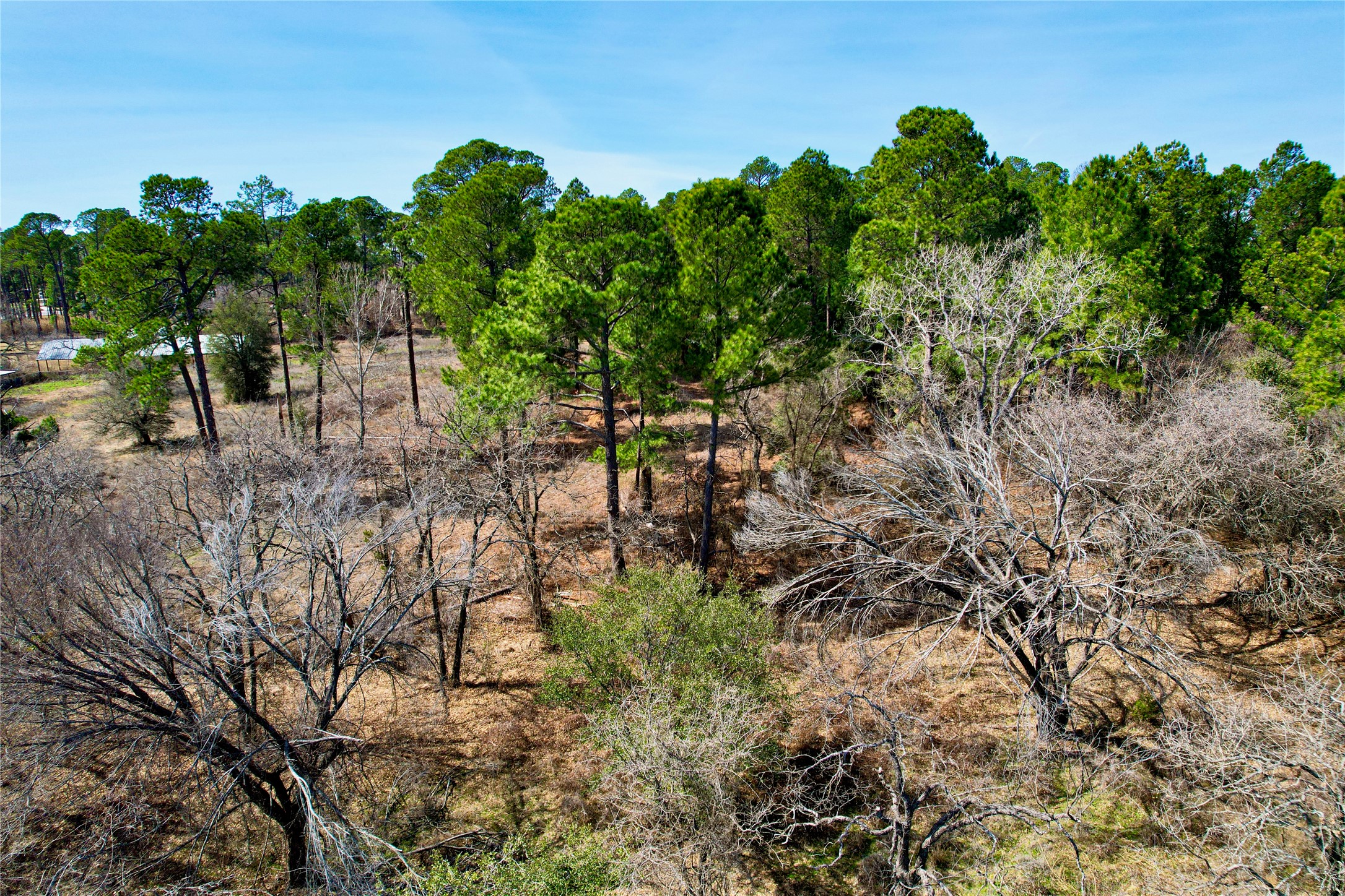300 Cowboy Court Granbury TX 76048