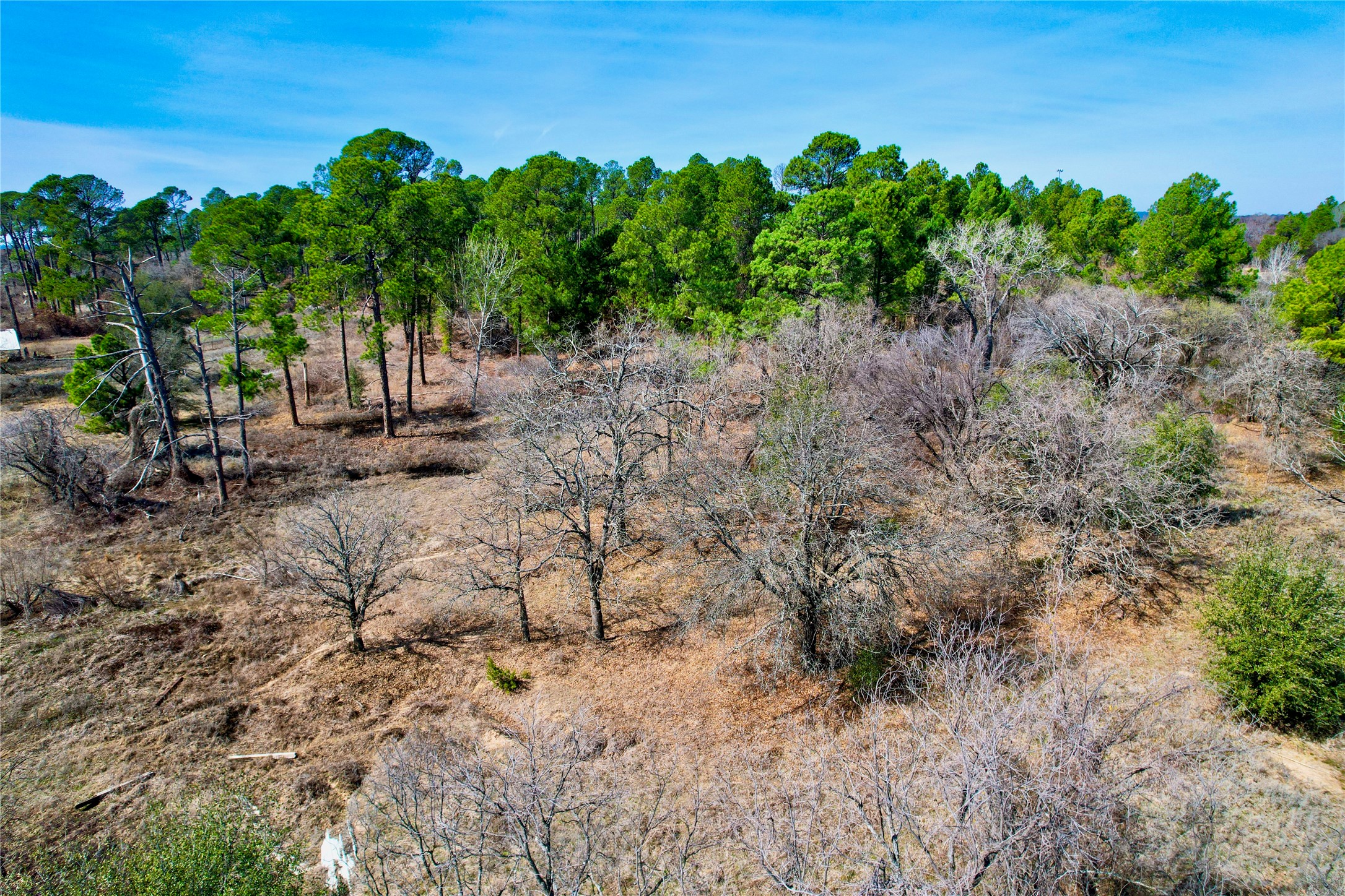 300 Cowboy Court Granbury TX 76048