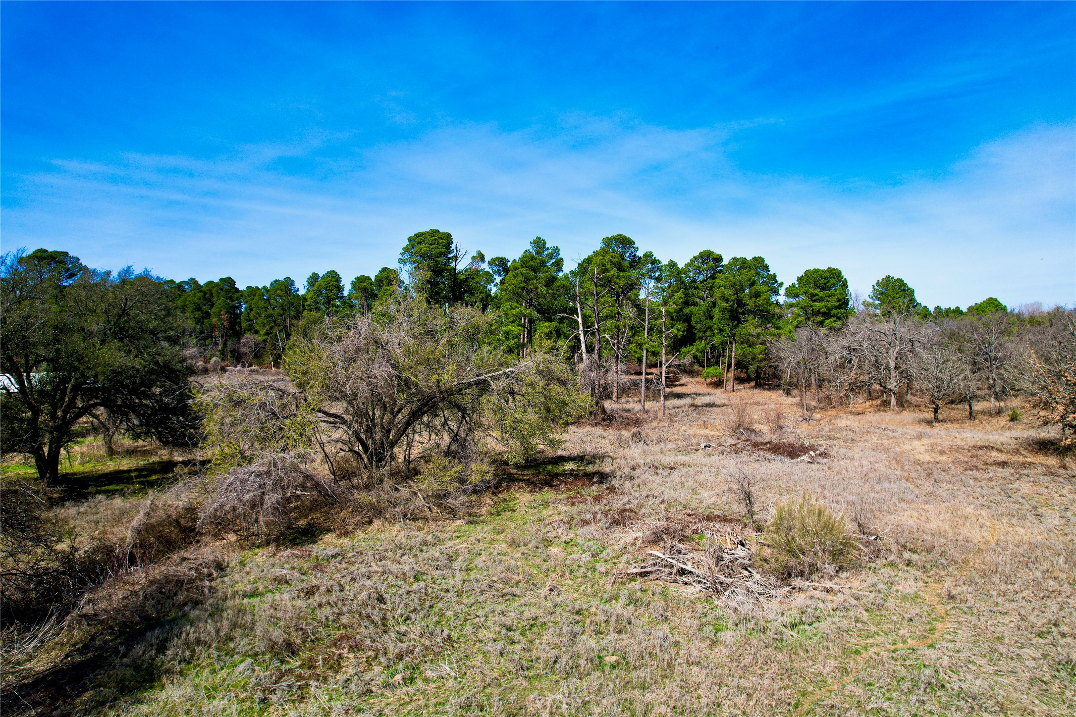 300 Cowboy Court Granbury TX 76048