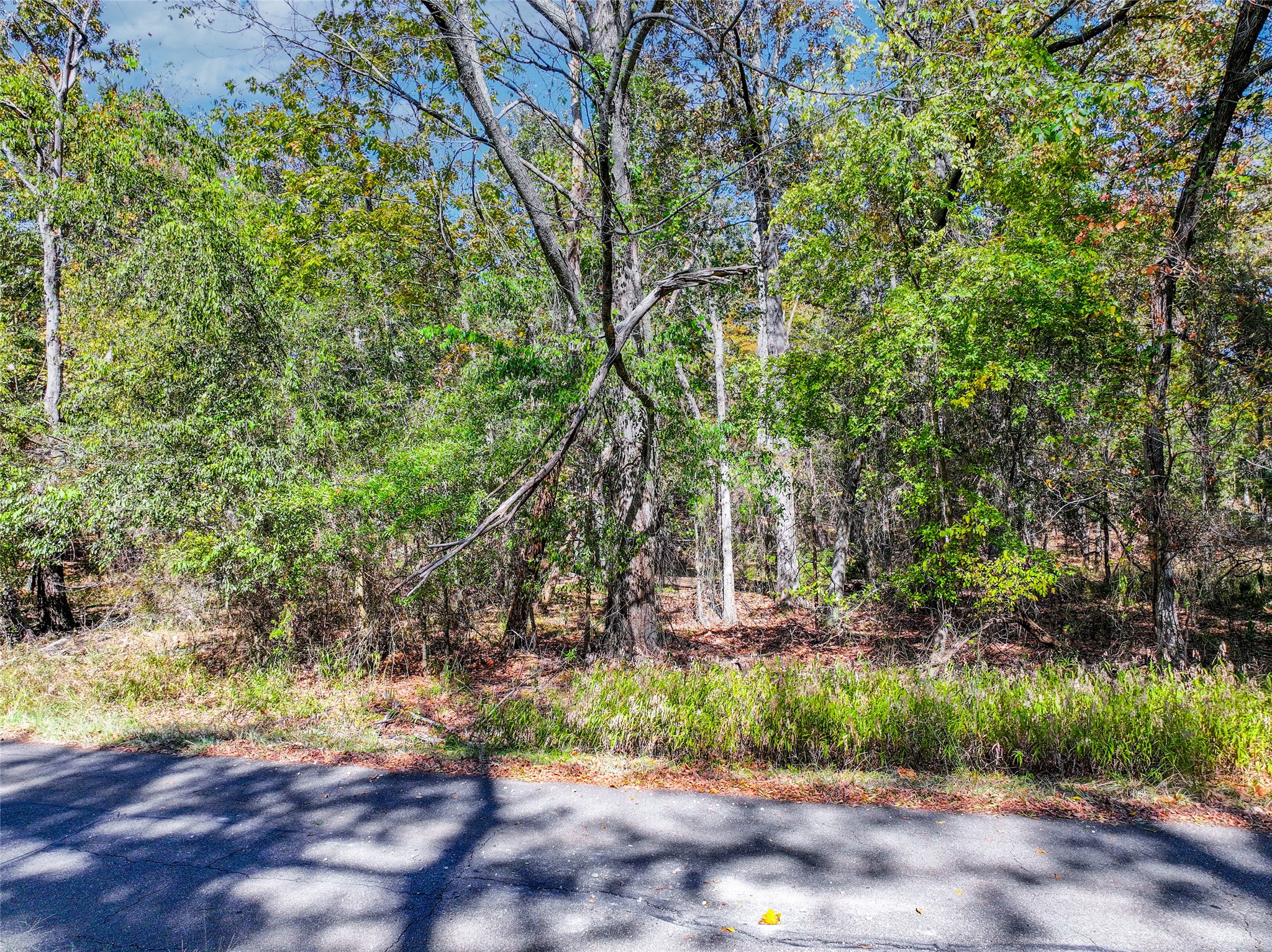 Lot 7 King Sebastion Road Scroggins TX 75480