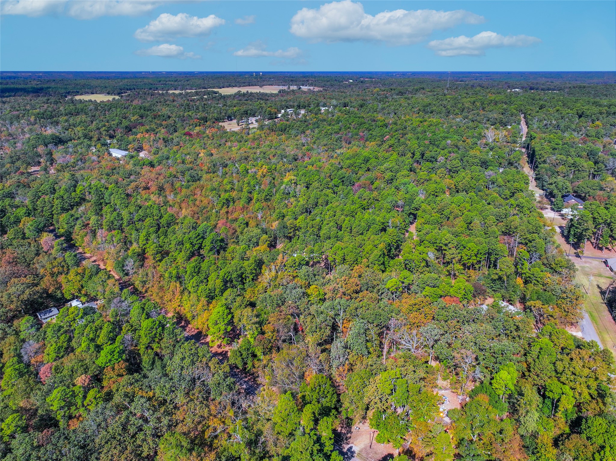 Lot 7 King Sebastion Road Scroggins TX 75480