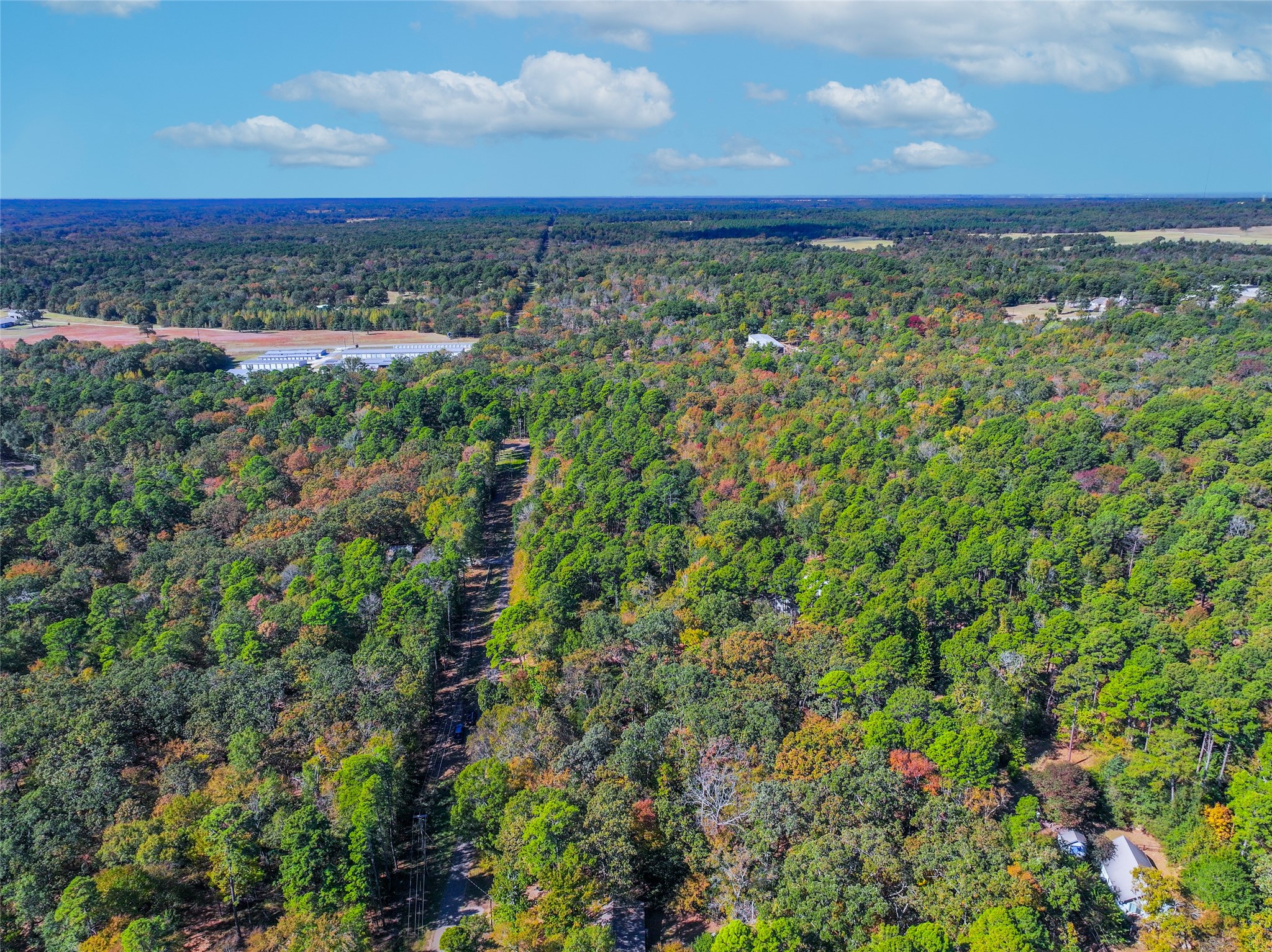 Lot 7 King Sebastion Road Scroggins TX 75480