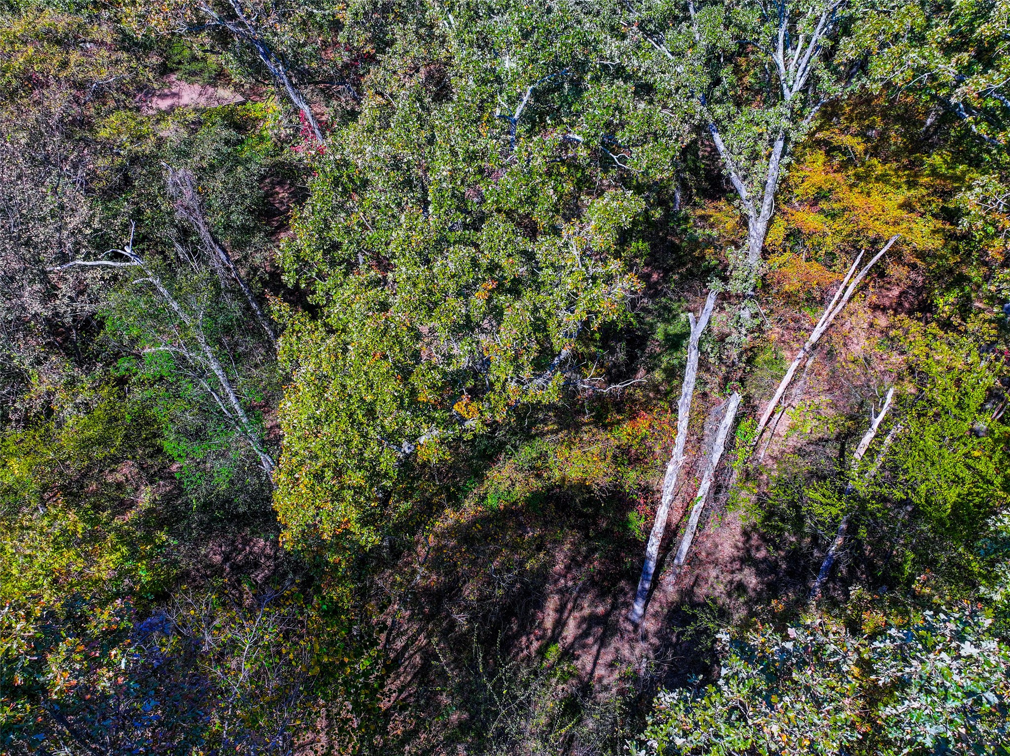 Lot 7 King Sebastion Road Scroggins TX 75480