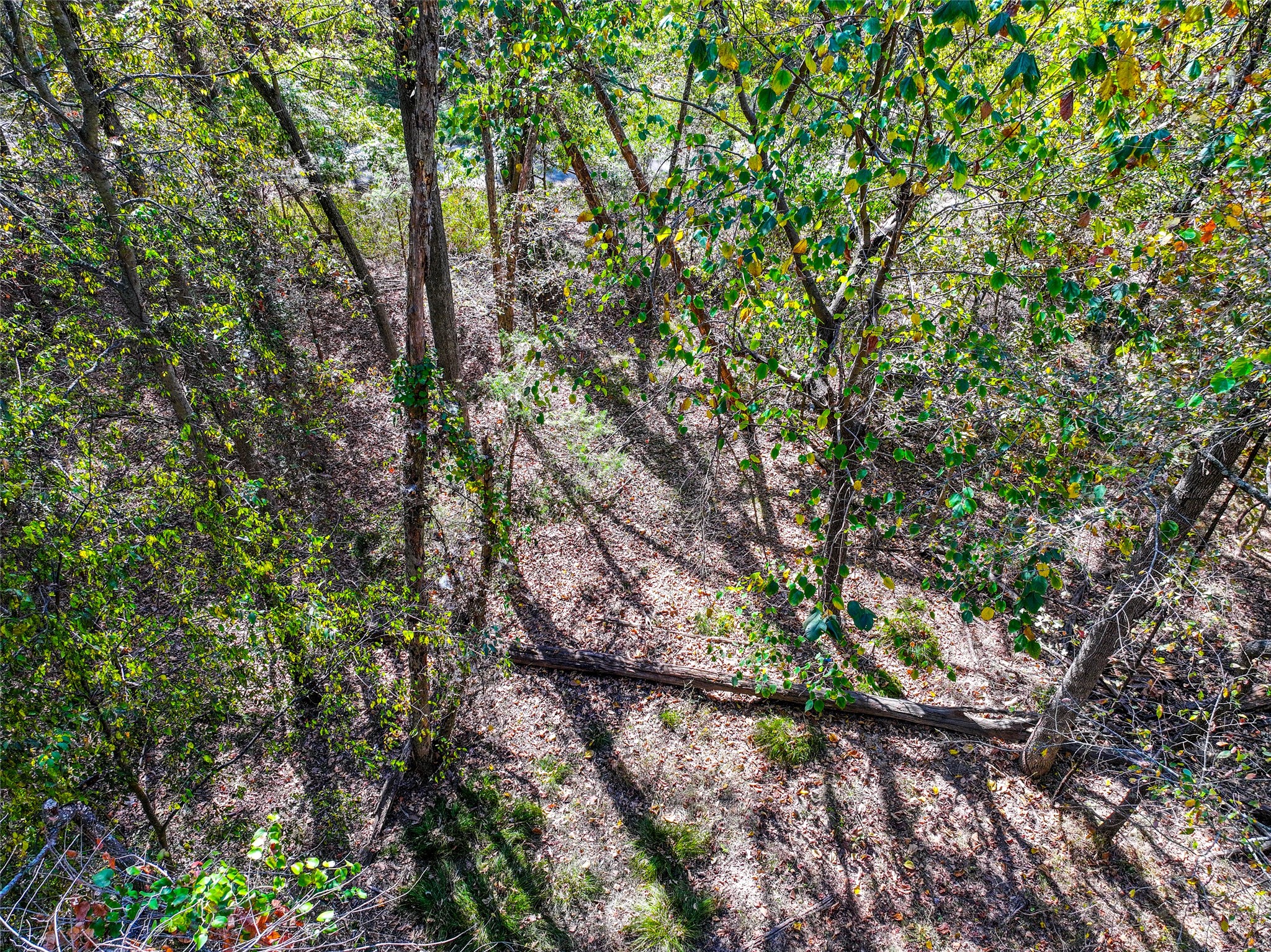 Lot 7 King Sebastion Road Scroggins TX 75480