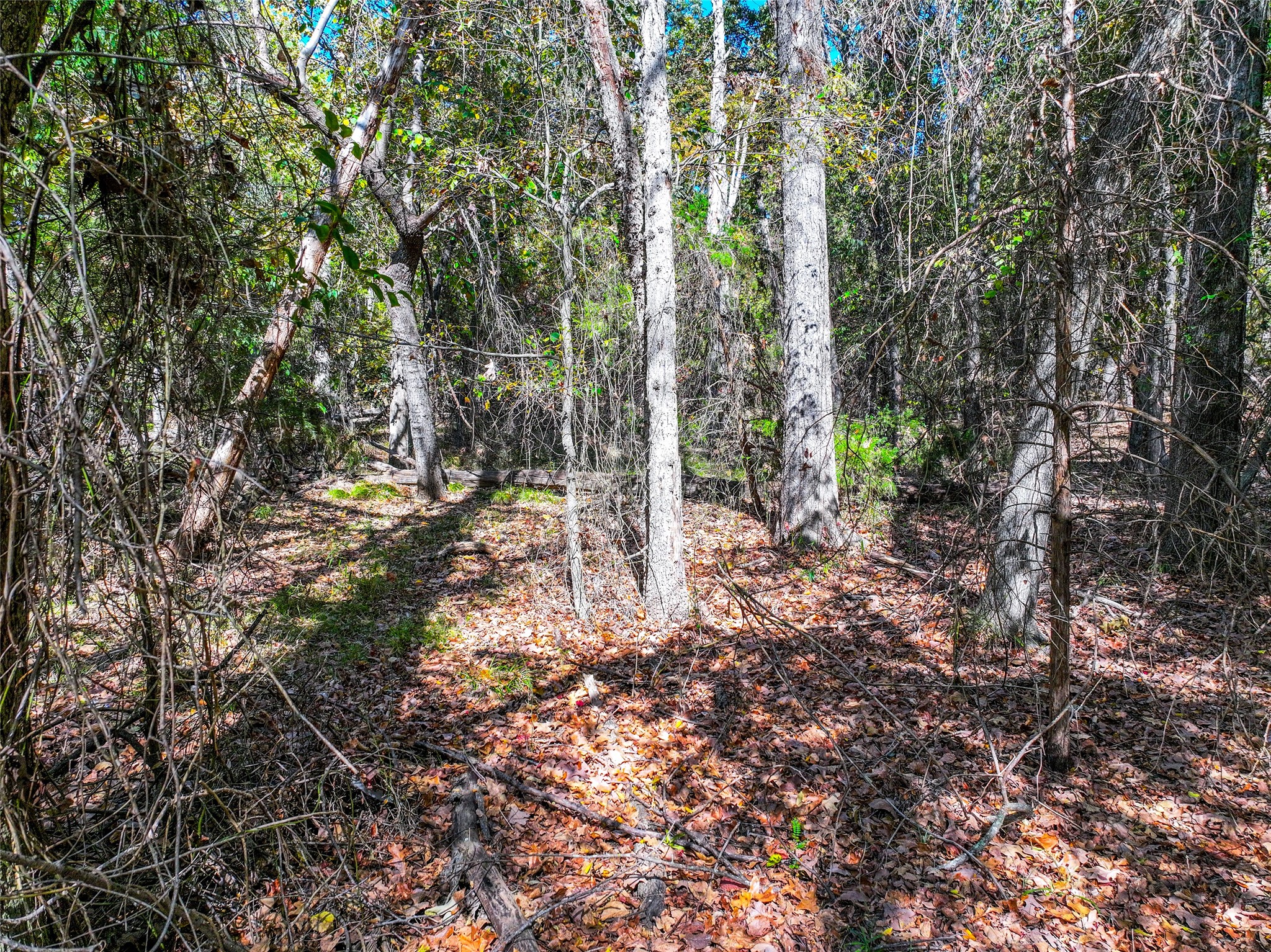 Lot 7 King Sebastion Road Scroggins TX 75480