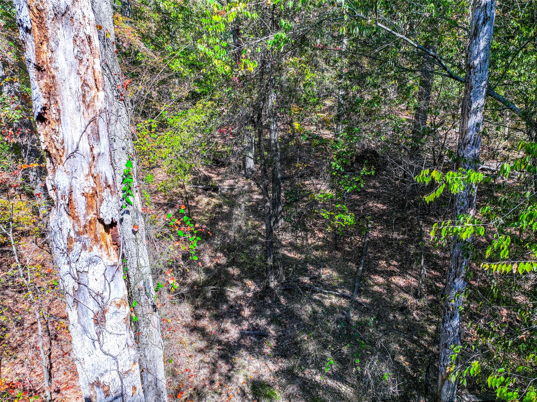 Lot 7 King Sebastion Road Scroggins TX 75480