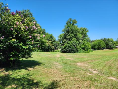 Tbd Greenville Highway Mineola TX 75773