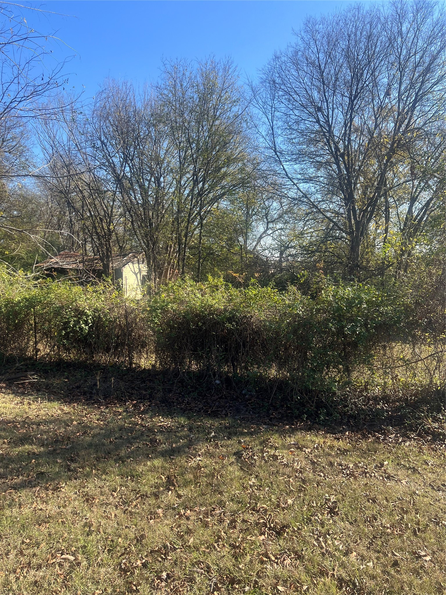 406 Walker Street Wilmer TX 75172