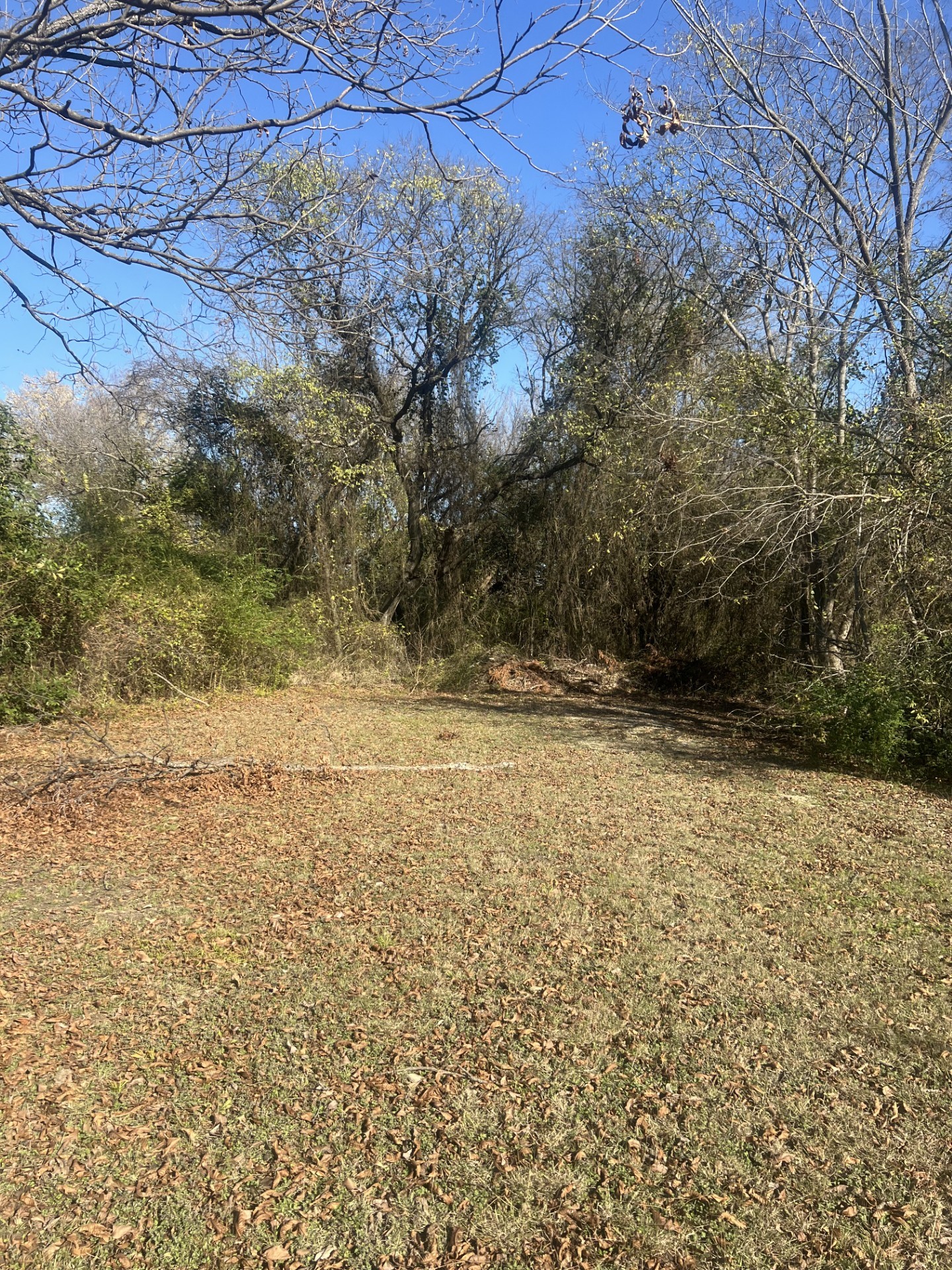 406 Walker Street Wilmer TX 75172