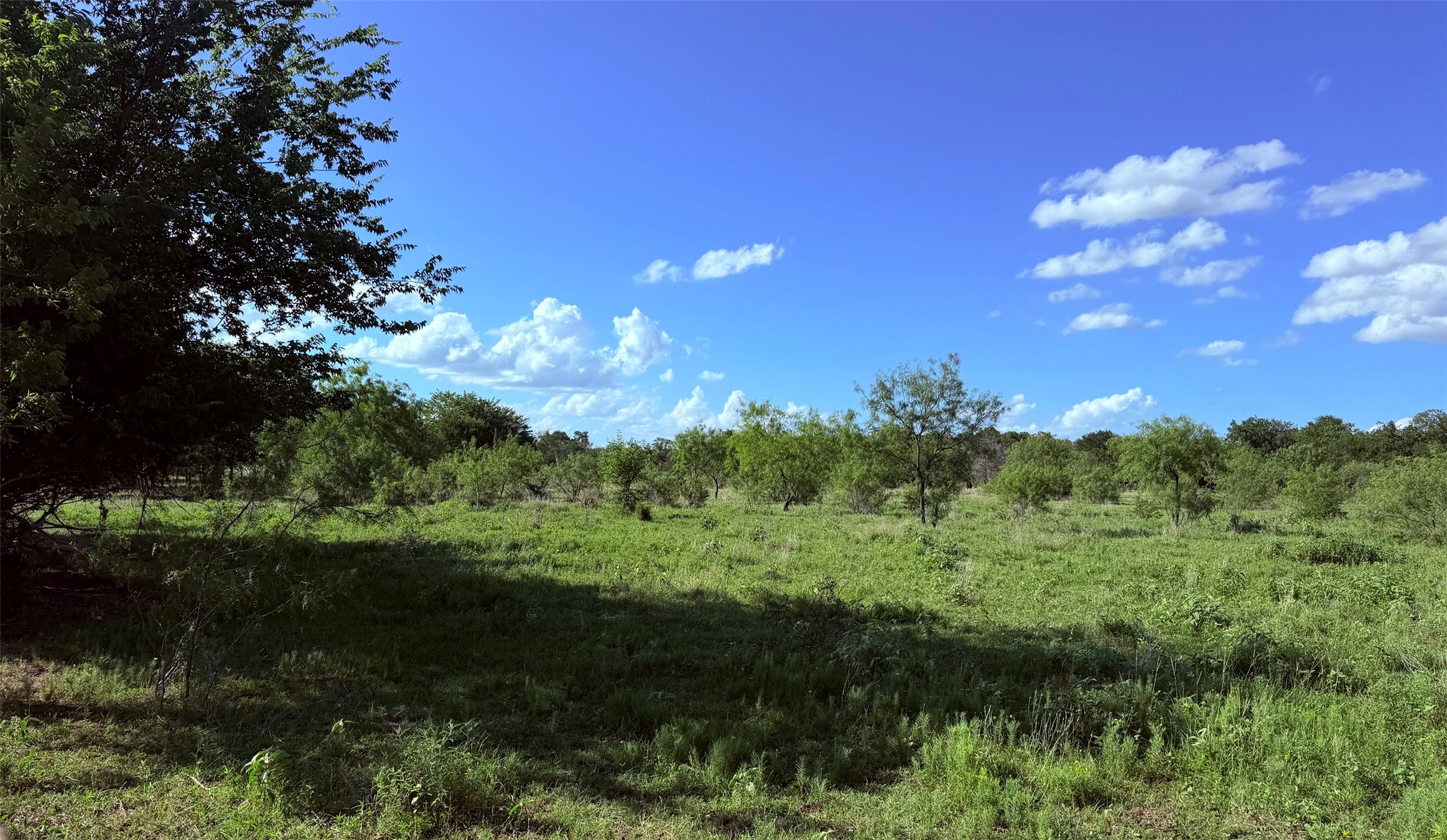 000 Fm 636 Kerens TX 75144