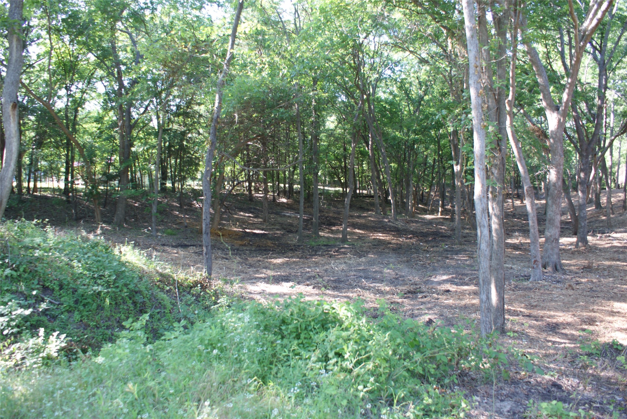 Cr 3713 County Road 3713 Quinlan TX 75474