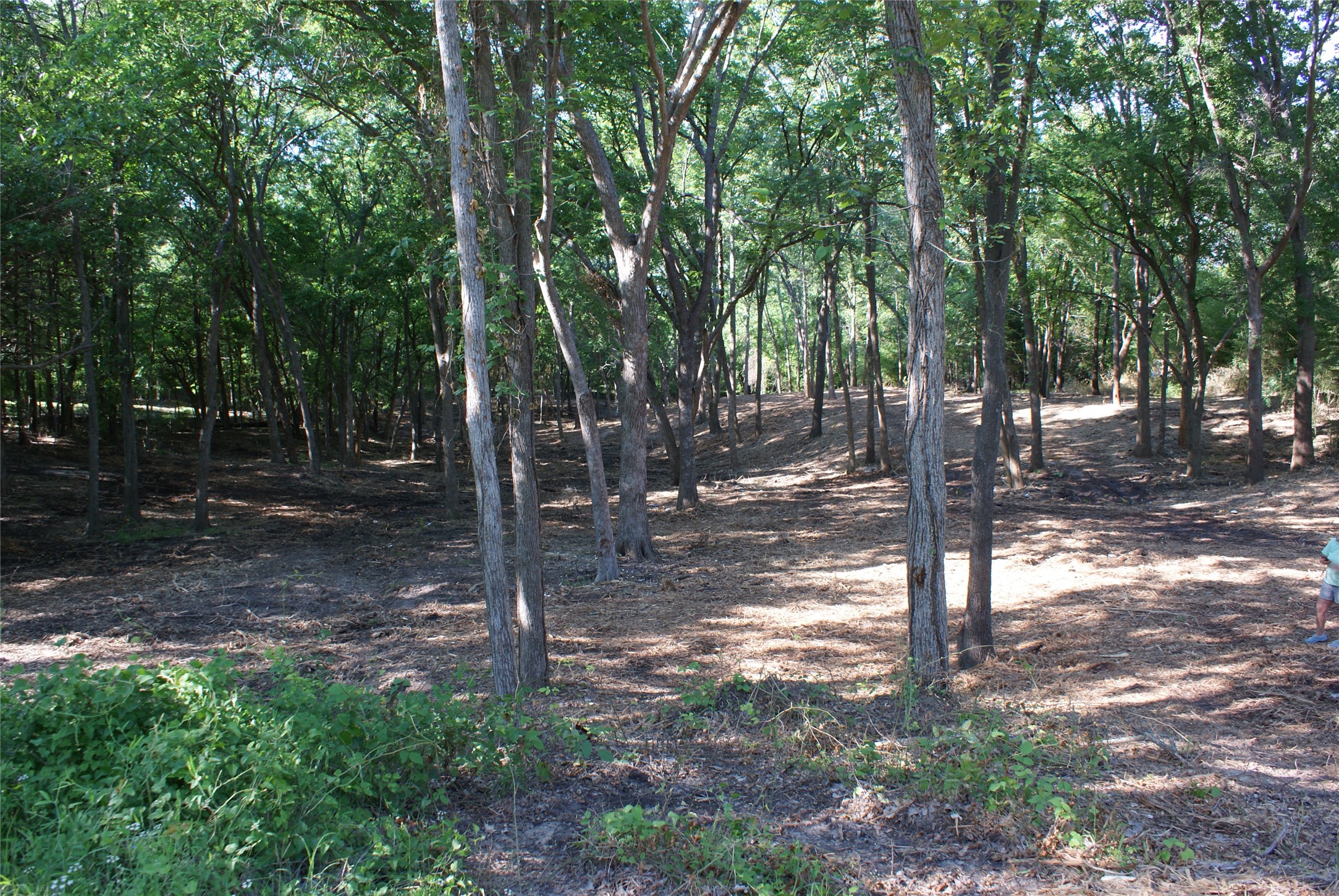 Cr 3713 County Road 3713 Quinlan TX 75474