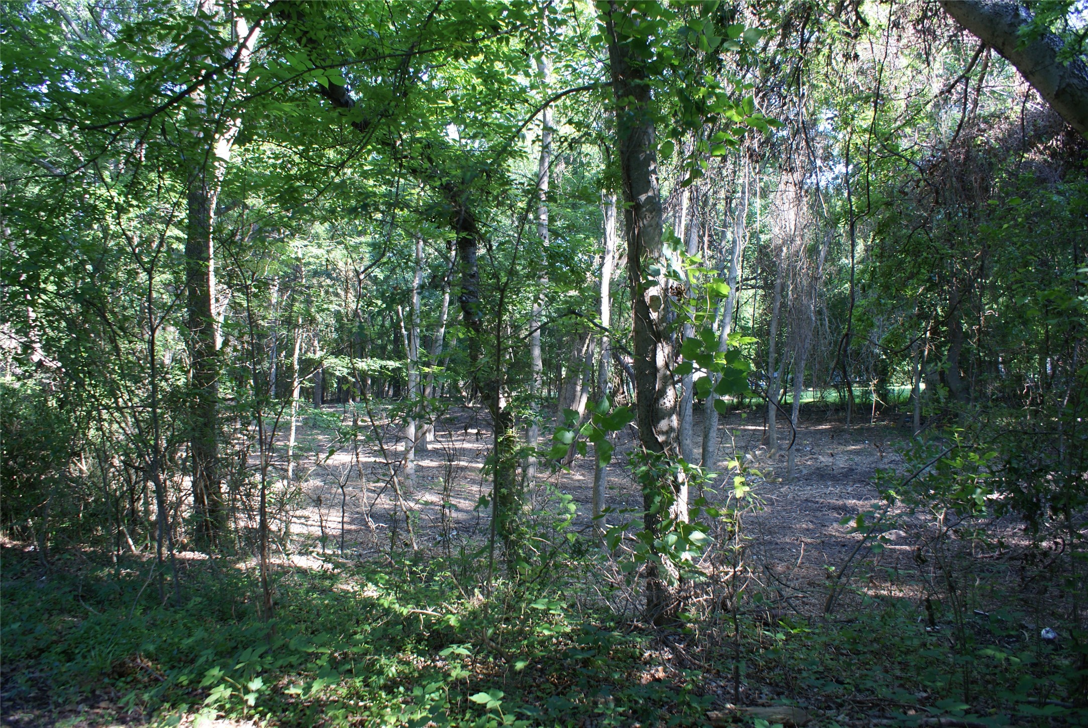 Cr 3713 County Road 3713 Quinlan TX 75474