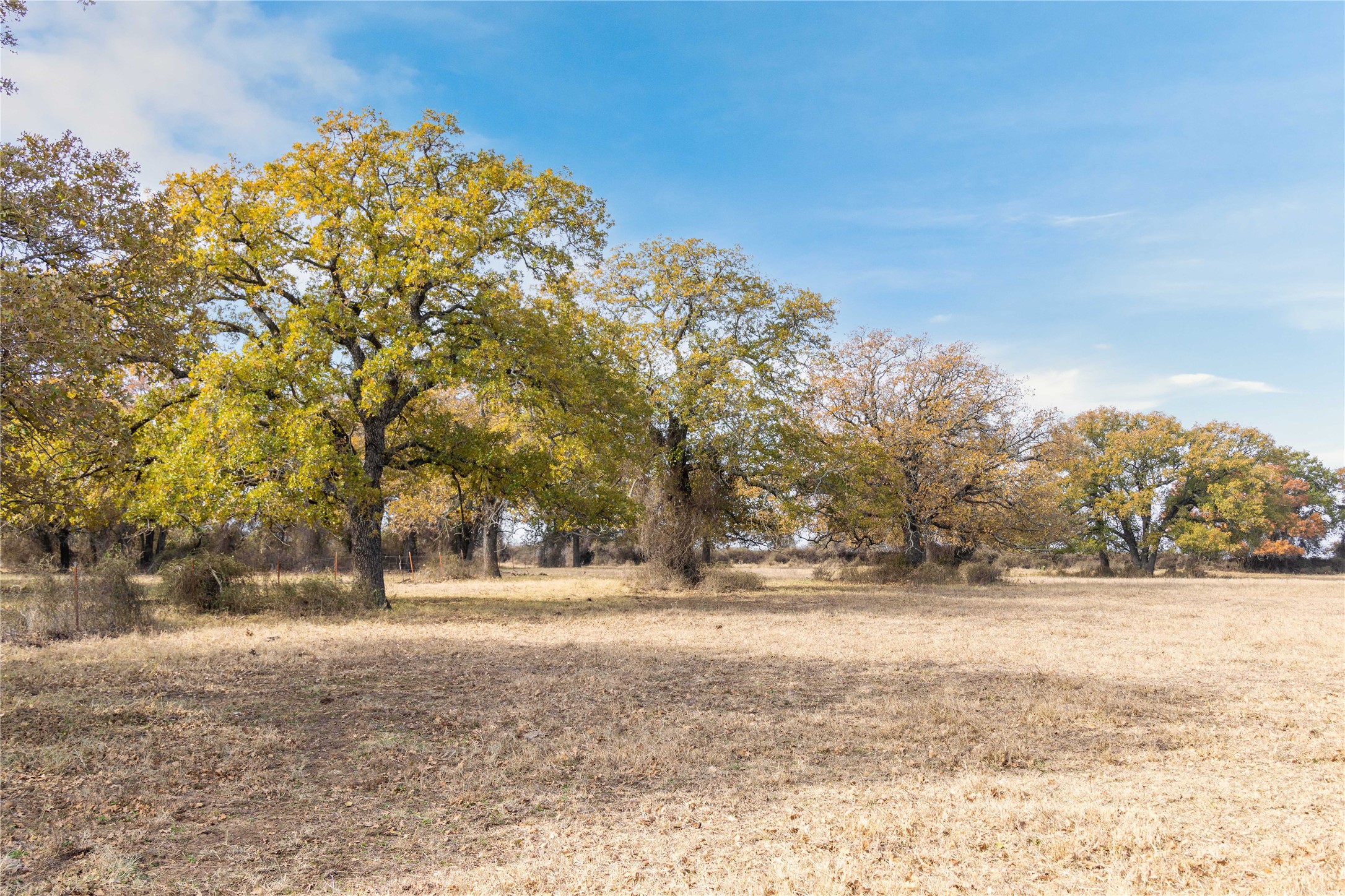 300 County Road 467 Tract 1 Gorman TX 76454