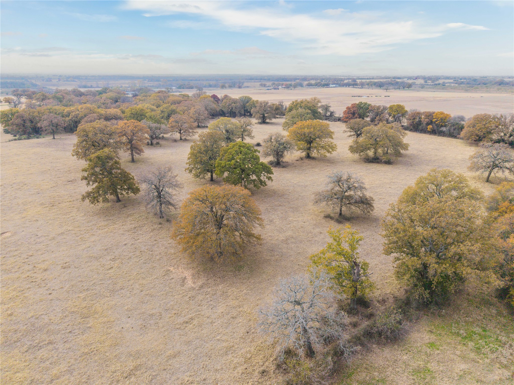 300 County Road 467 Tract 1 Gorman TX 76454