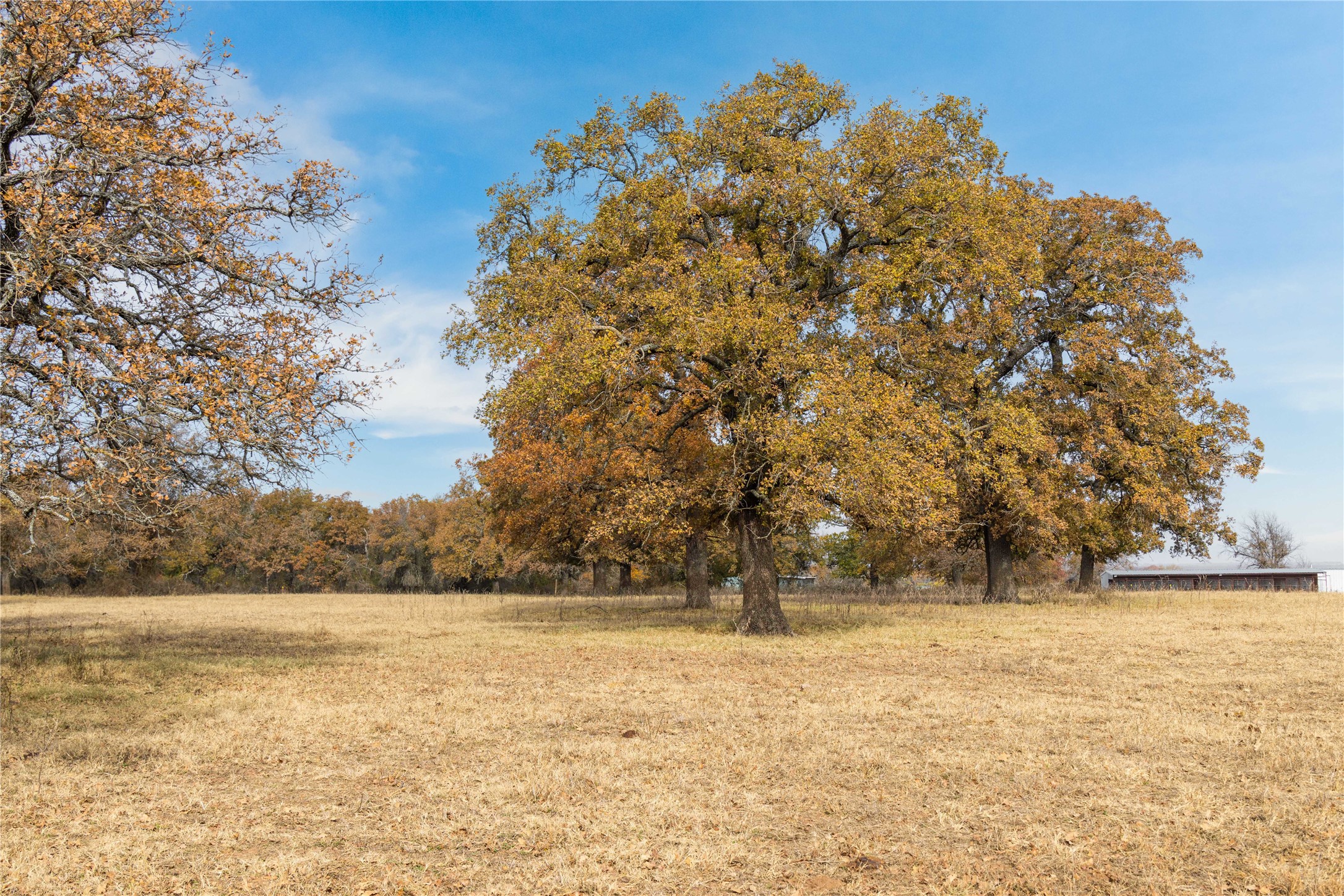 300 County Road 467 Tract 1 Gorman TX 76454