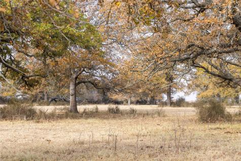 300 County Road 467 Tract 1 Gorman TX 76454