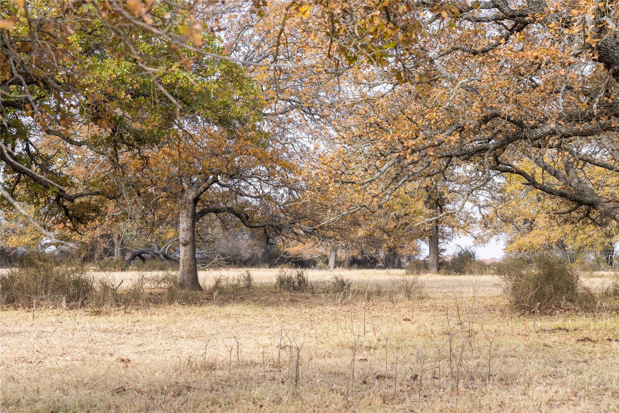 300 County Road 467 Tract 1 Gorman TX 76454