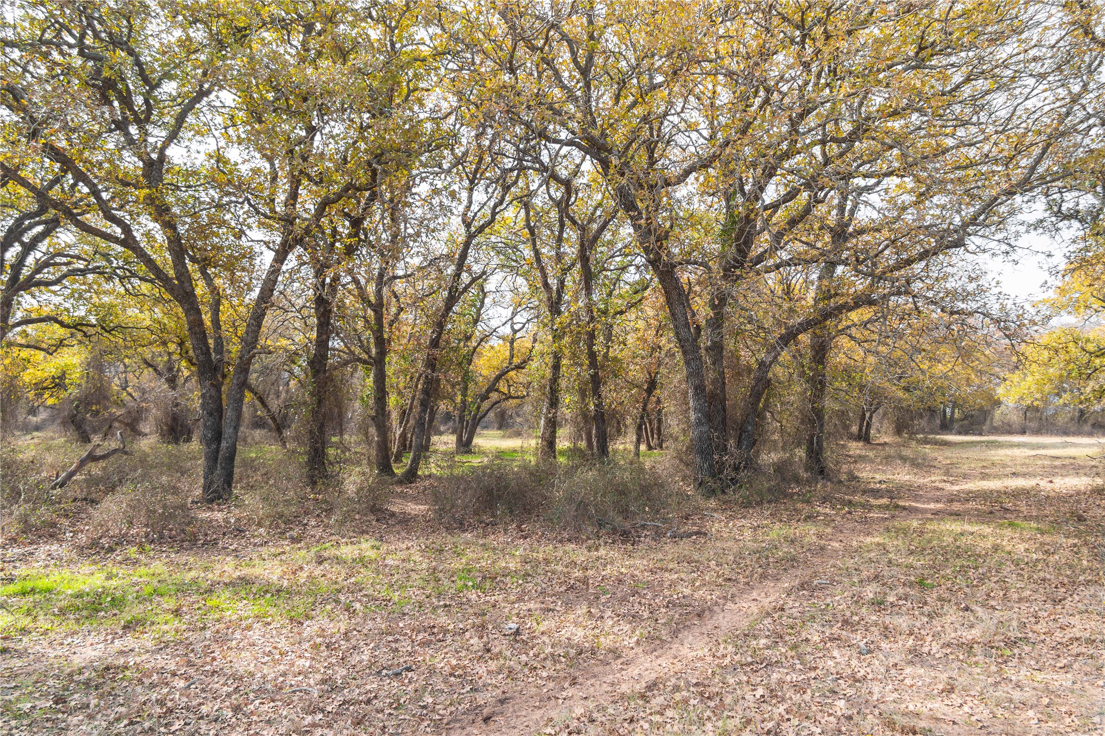 300 County Road 467 Tract 1 Gorman TX 76454