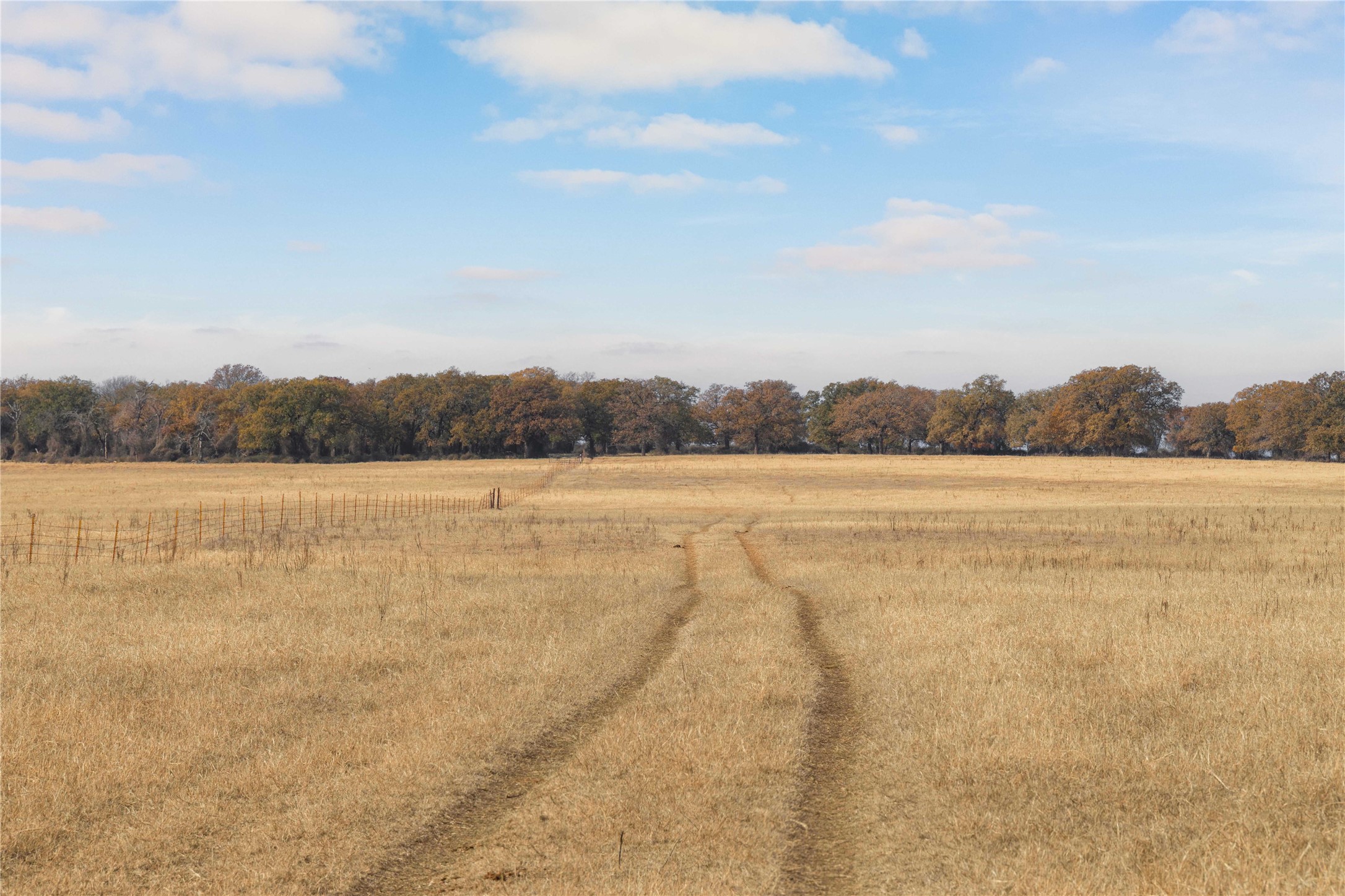 300 County Road 467 Tract 1 Gorman TX 76454