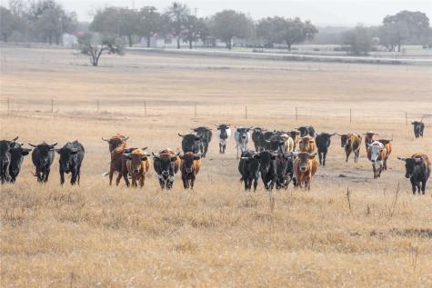 300 County Road 467 Tract 1 Gorman TX 76454