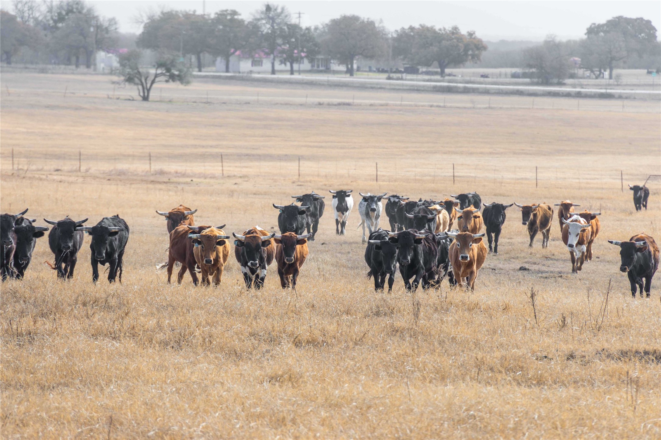 300 County Road 467 Tract 1 Gorman TX 76454
