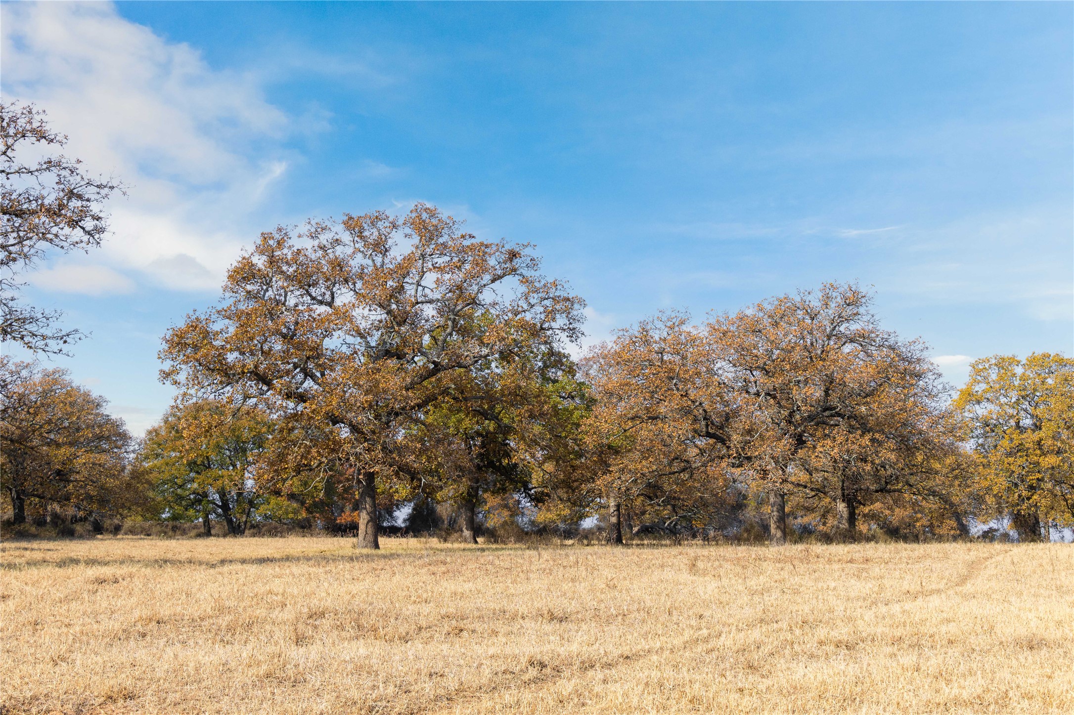 300 County Road 467 Tract 1 Gorman TX 76454