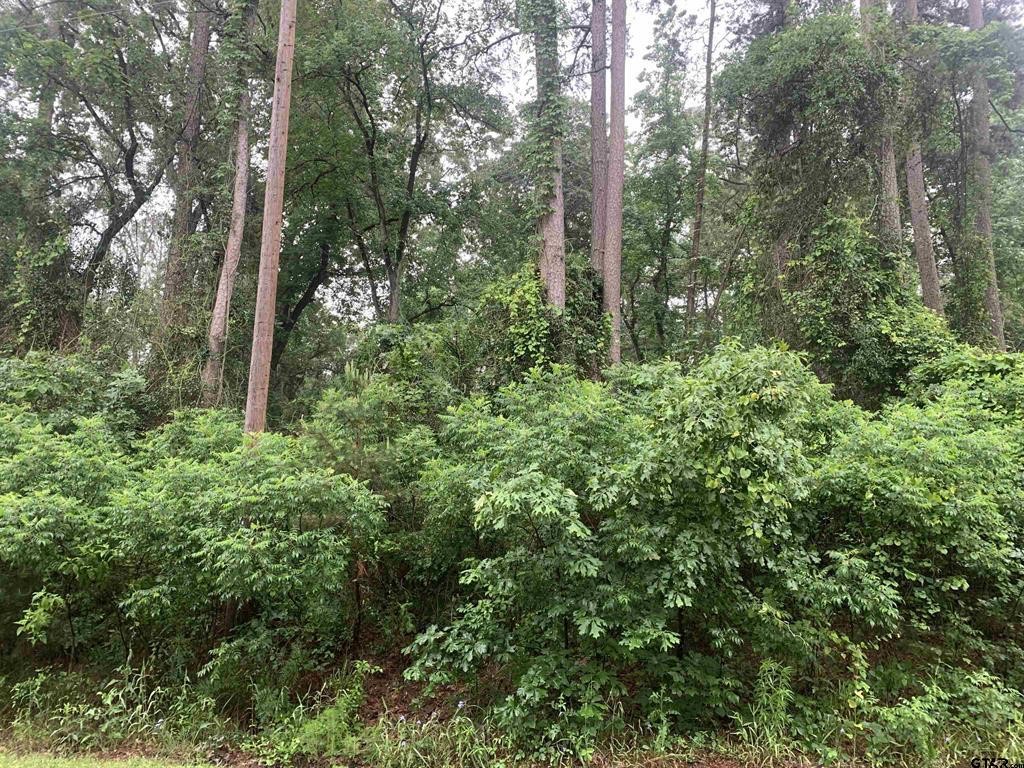 Tbd Canadian Drive Scroggins TX 75480