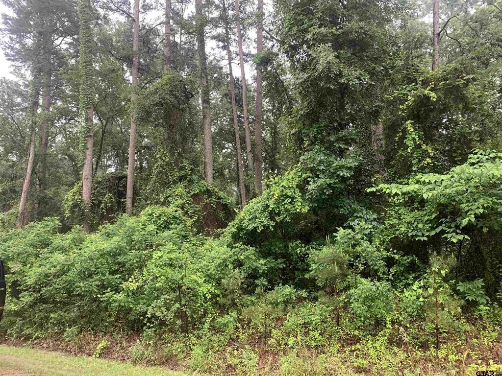 Tbd Canadian Drive Scroggins TX 75480