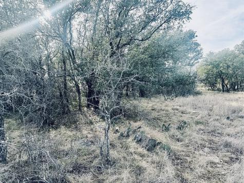 194 Willie B Drive Brownwood TX 76801