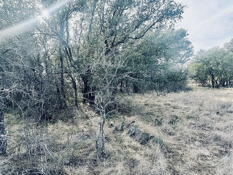 194 Willie B Drive Brownwood TX 76801