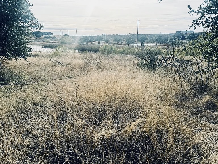 194 Willie B Drive Brownwood TX 76801