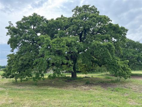 4532 Waples Road Granbury TX 76049