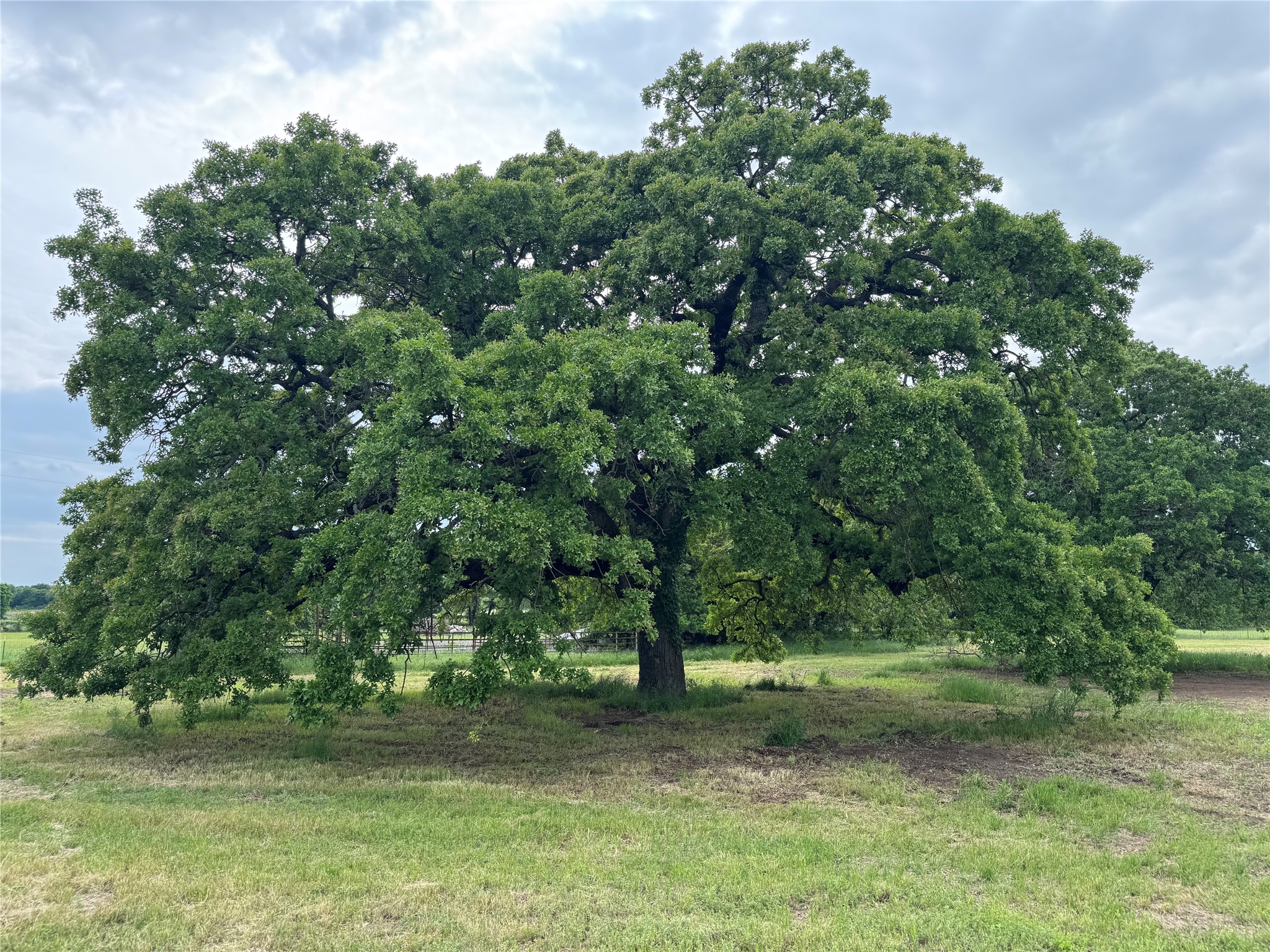 4532 Waples Road Granbury TX 76049