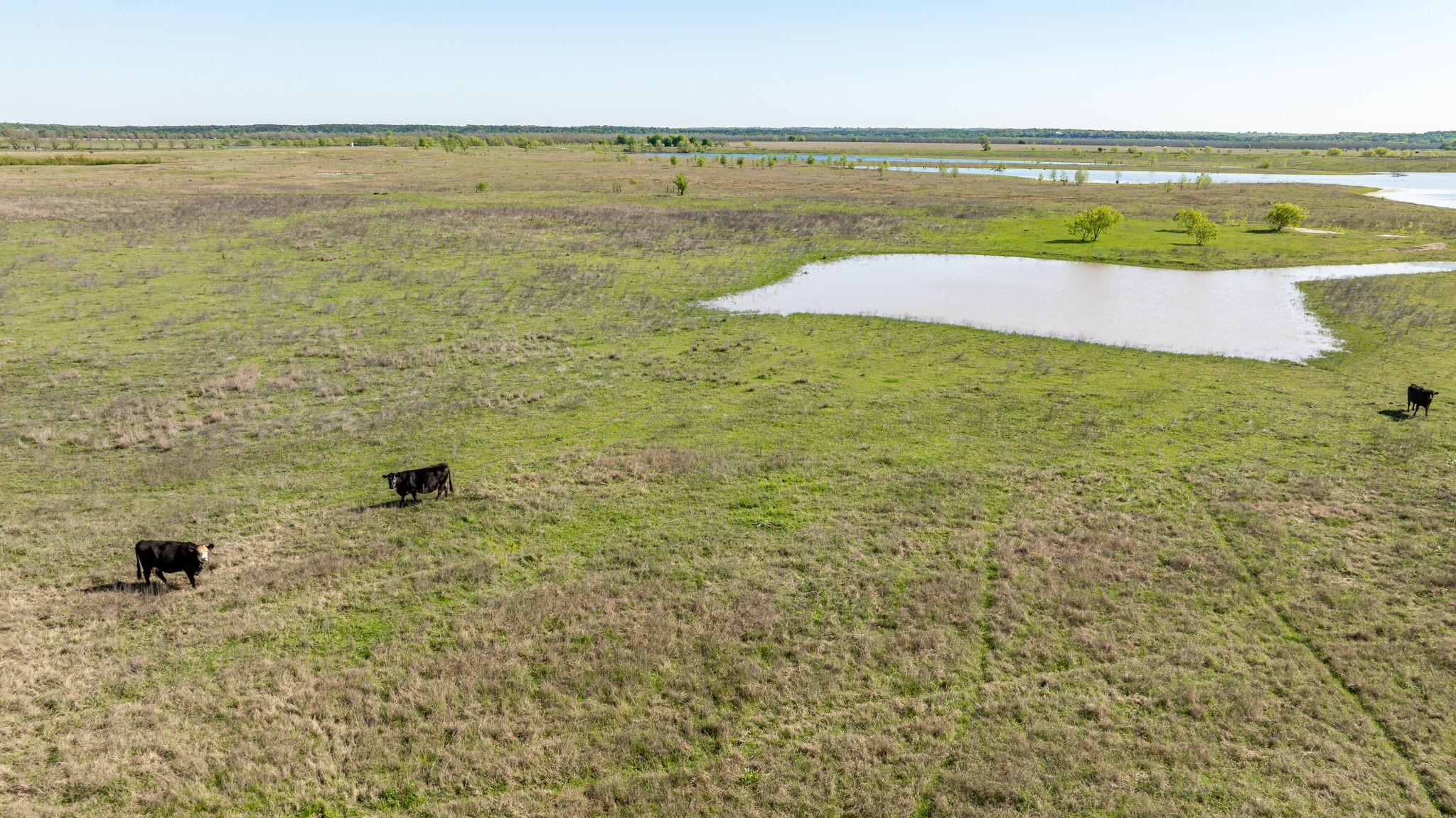 Tbd Fm 2114 Clifton TX 76634