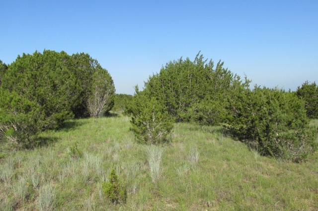 4089 County Road 233 Hico TX 76457