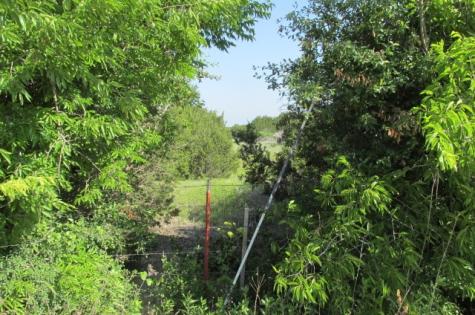 4089 County Road 233 Hico TX 76457