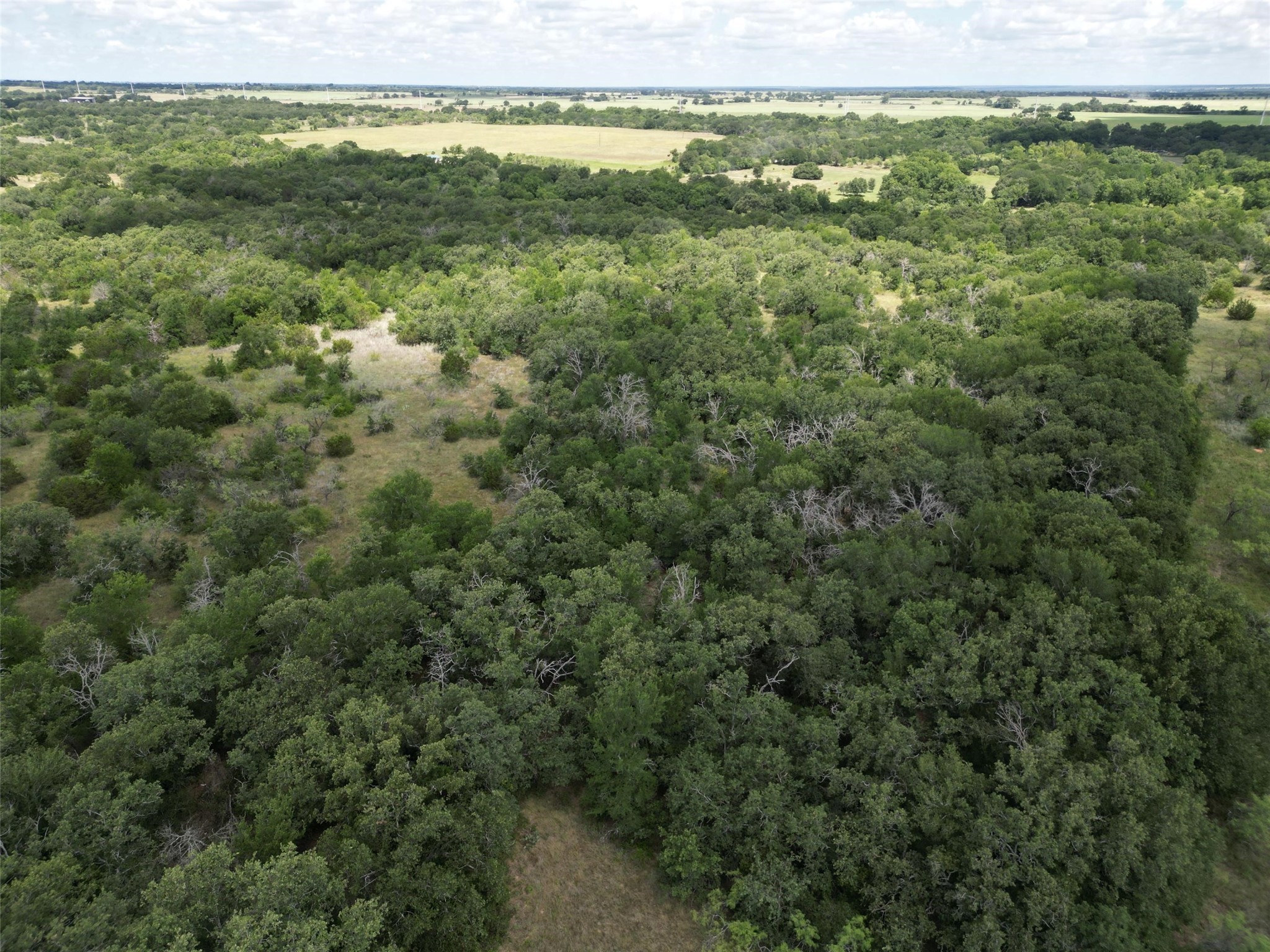 Tbd Fm 8 Wooded Side Gorman TX 76454