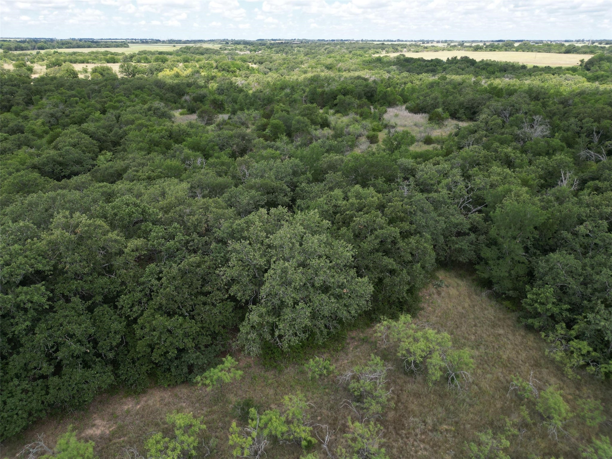 Tbd Fm 8 Wooded Side Gorman TX 76454