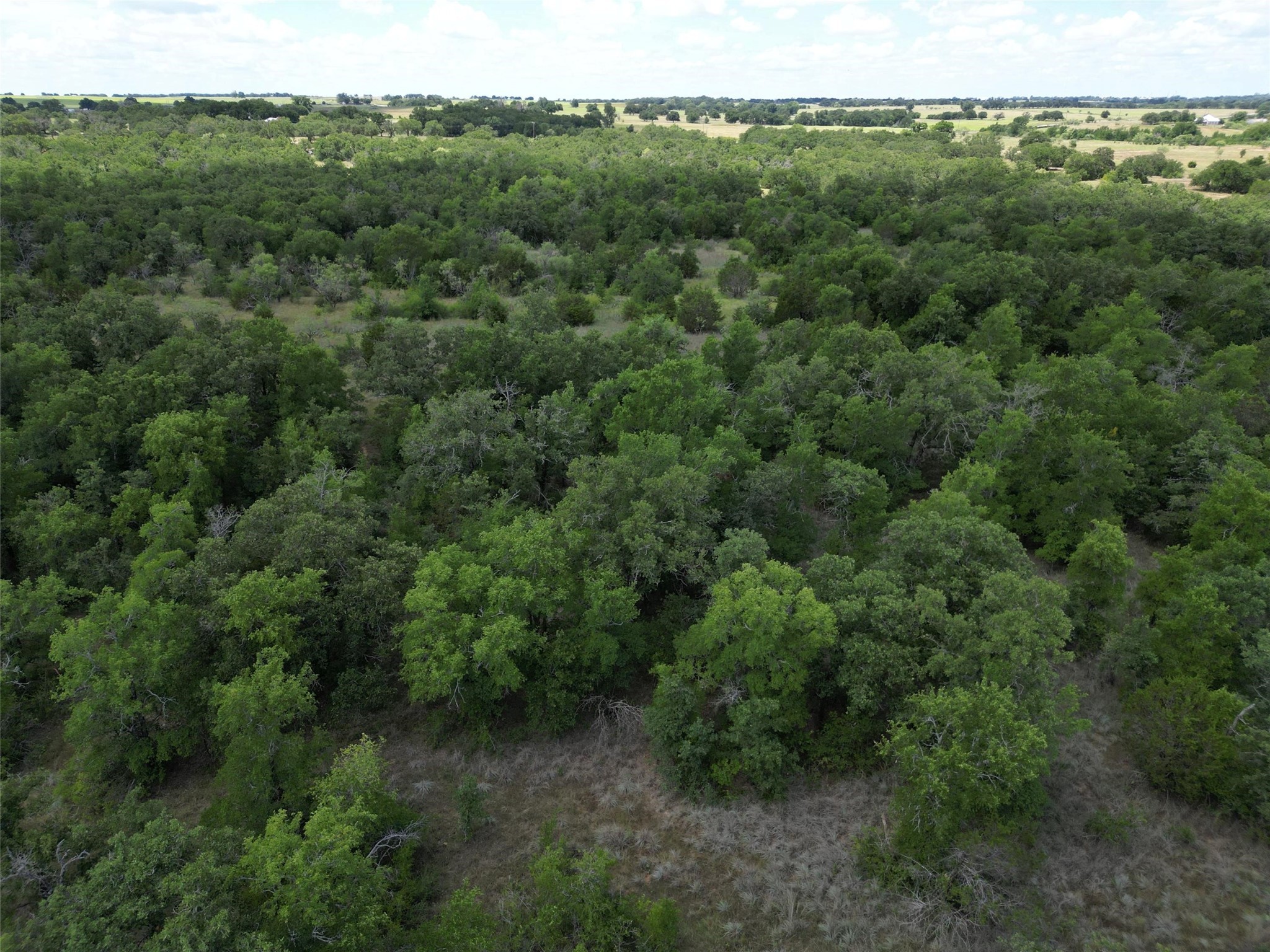 Tbd Fm 8 Wooded Side Gorman TX 76454