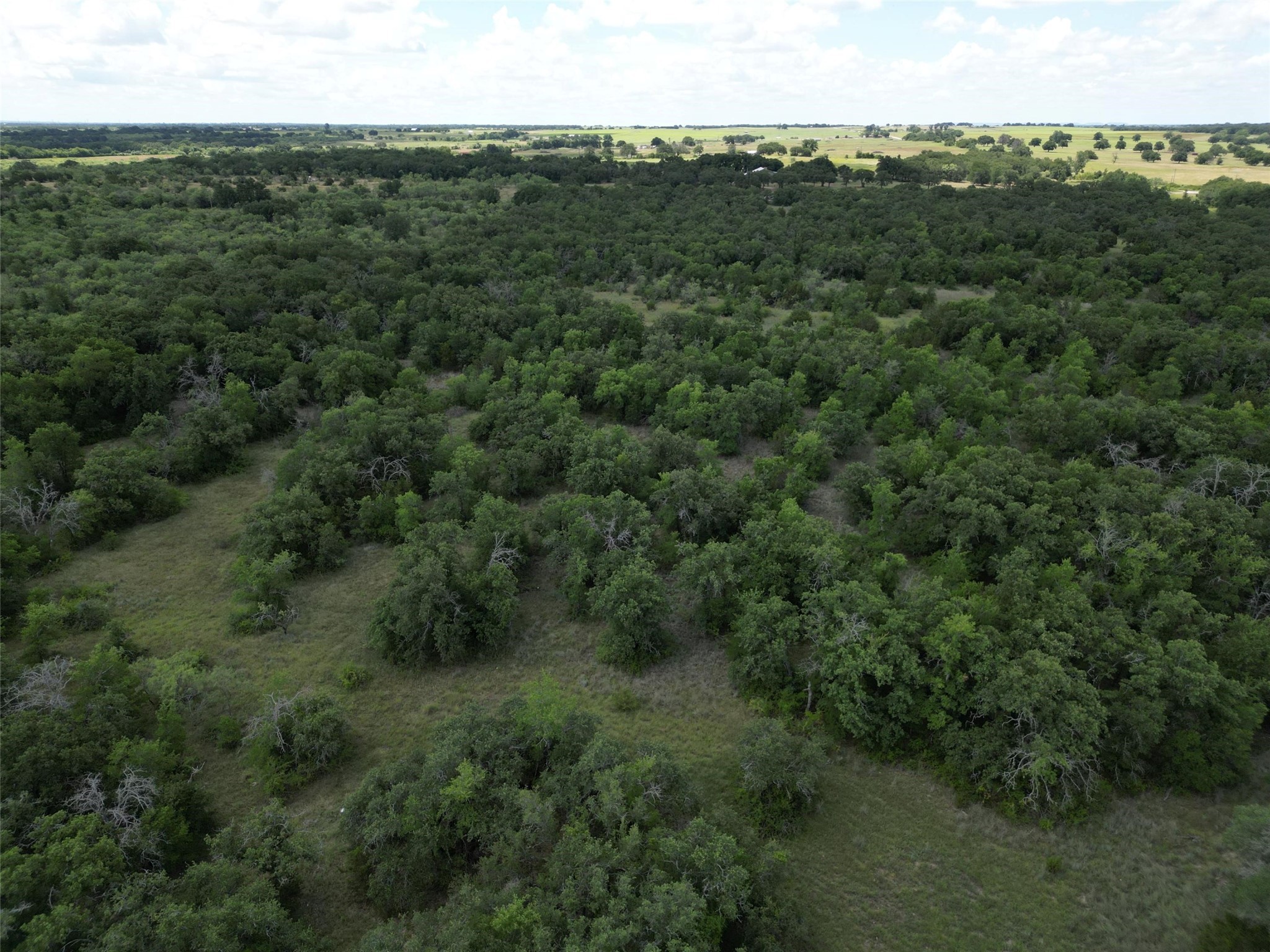 Tbd Fm 8 Wooded Side Gorman TX 76454