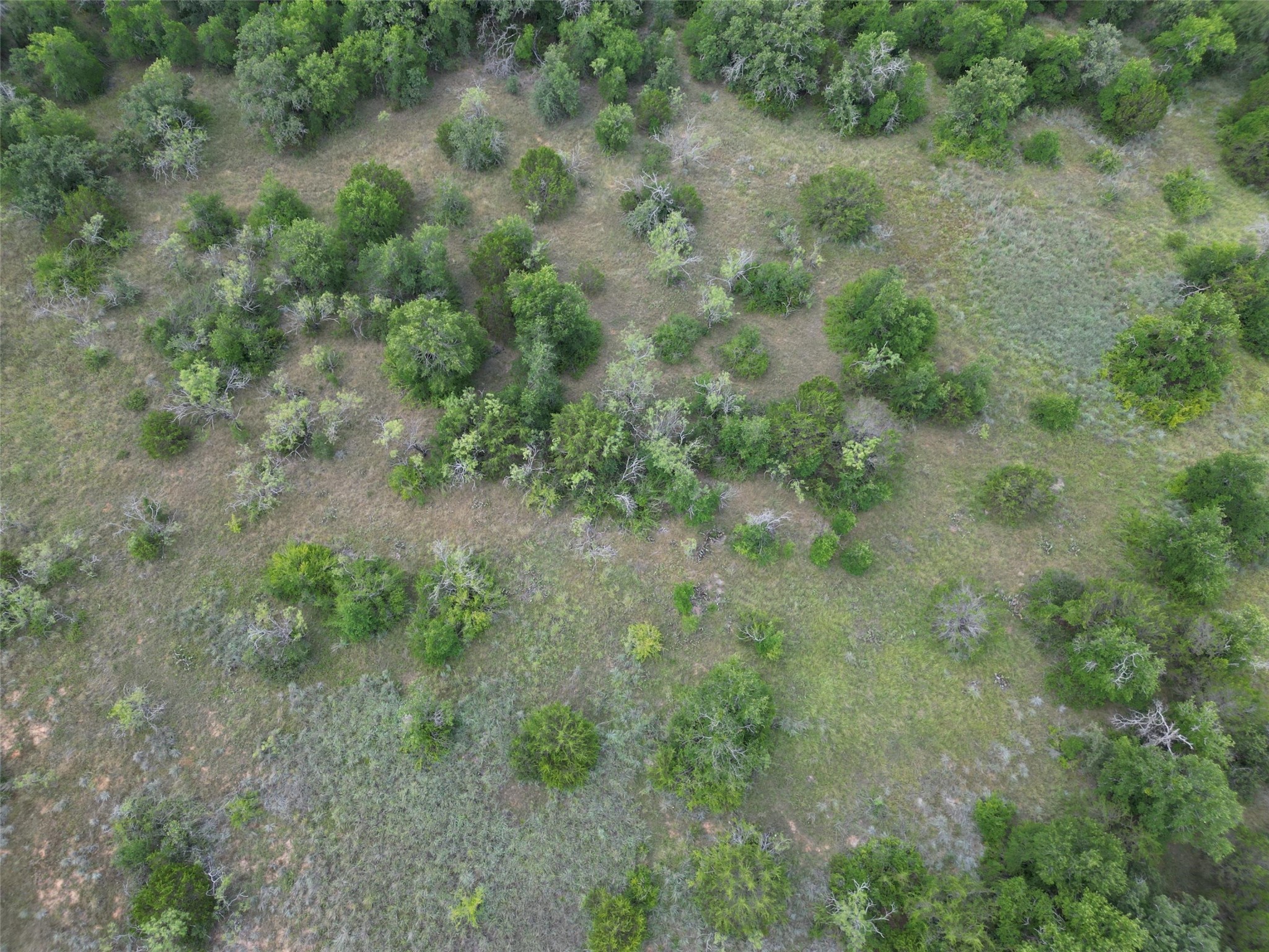 Tbd Fm 8 Wooded Side Gorman TX 76454