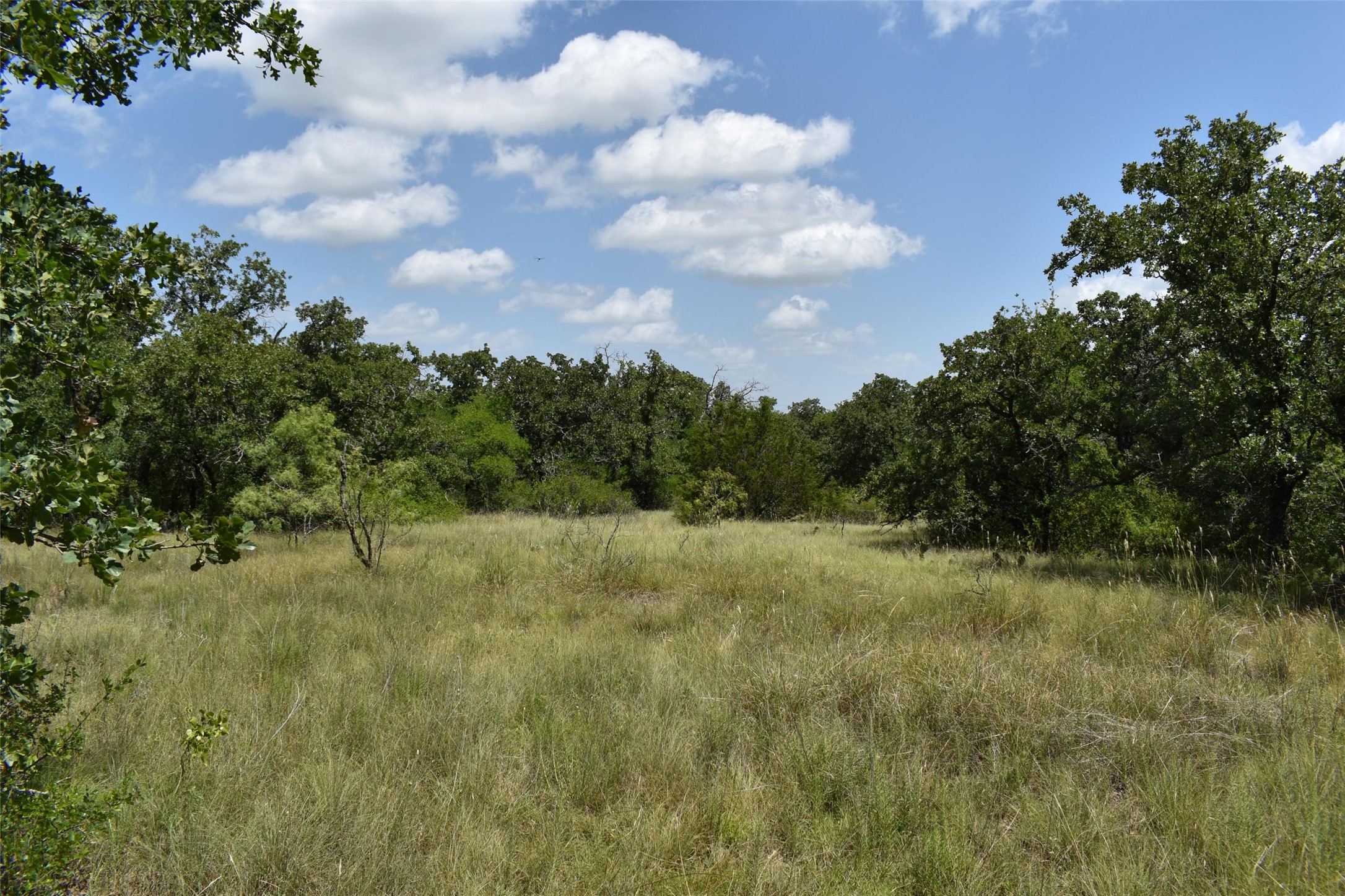 Tbd Fm 8 Wooded Side Gorman TX 76454