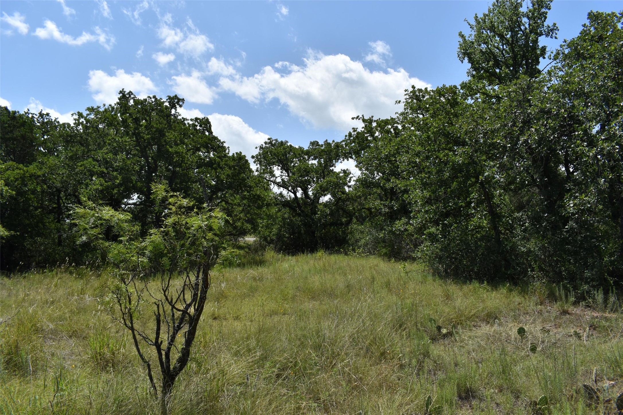 Tbd Fm 8 Wooded Side Gorman TX 76454
