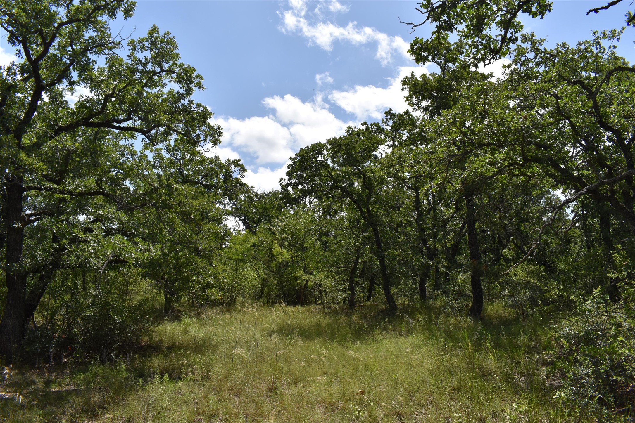 Tbd Fm 8 Wooded Side Gorman TX 76454