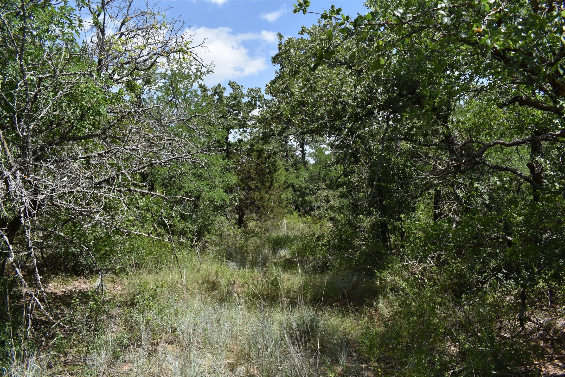 Tbd Fm 8 Wooded Side Gorman TX 76454